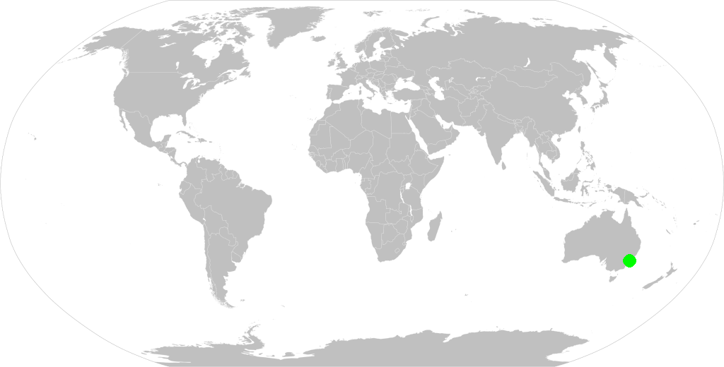 World map and dot on