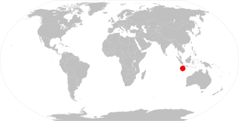 World Map