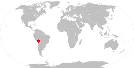 Un punto en el mapa mundial.