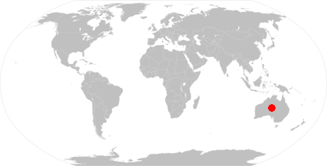 World map and dot on New York