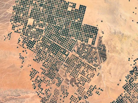 Okrągłe pola uprawne na pustyni w Arabii Saudyjskiej